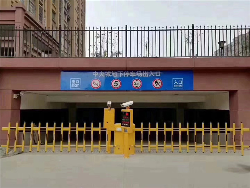 中央城車(chē)牌識別系統